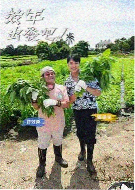 厨房辩论赛 美食综艺高清播放